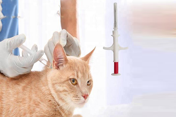 Do you want to inject RFID microchips RFID Tag into your pet?