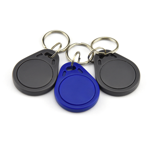 Custom Door Access Control RFID Key Fobs