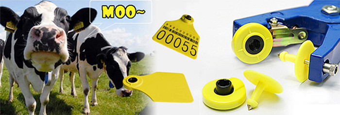 електронни ушни марки за говеда